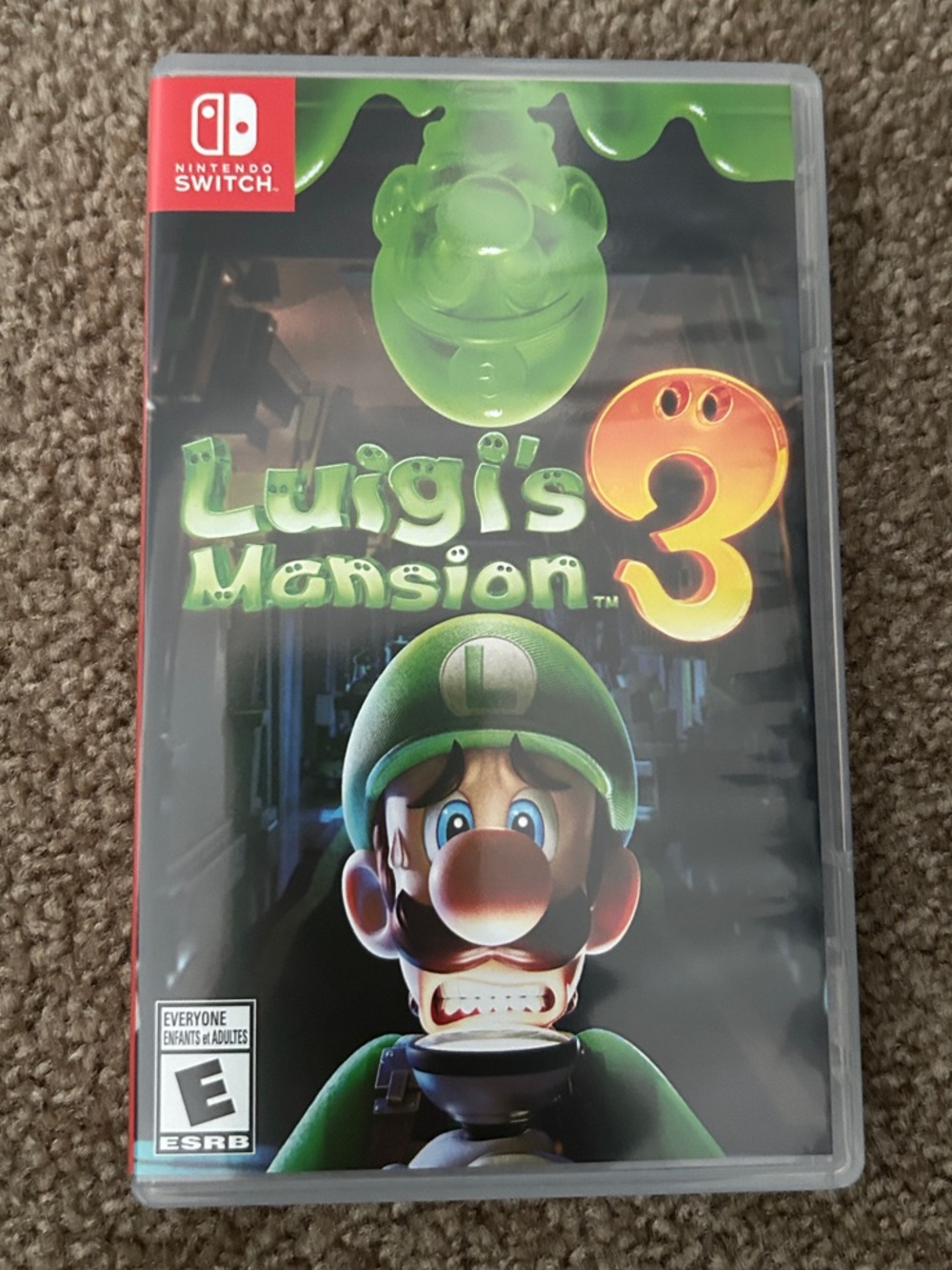 Nintendo Luigi's Mansion 3 - Green and Black Cover